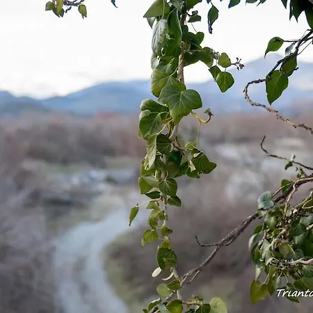 Daire Triantos Guesthome Trablus