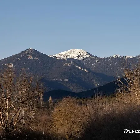 Triantos Guesthome Daire *