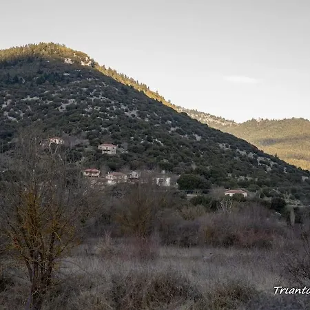 Triantos Guesthome Apartmán *