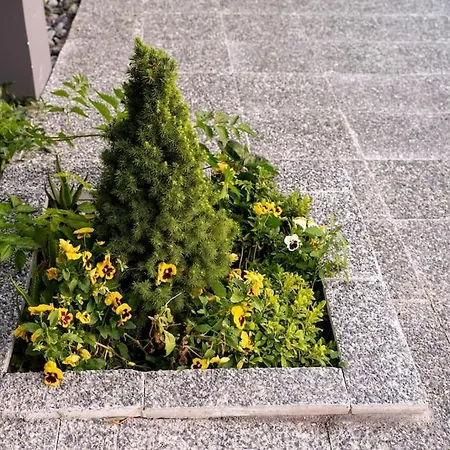 Apartment Triantos Guesthome *