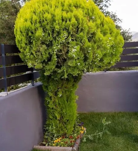 Triantos Guesthome *